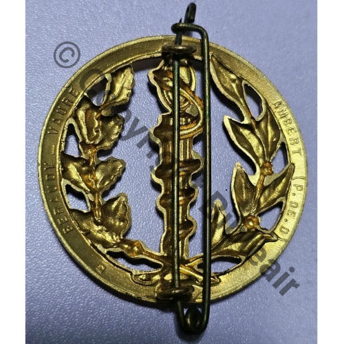 INSIGNE BERET SERVICE DE SANTE DES ARMEES  BERAUDY VAURE 2Anneaux Dos lisse embouti Src.levidegreniervirtuel 15EurInv 